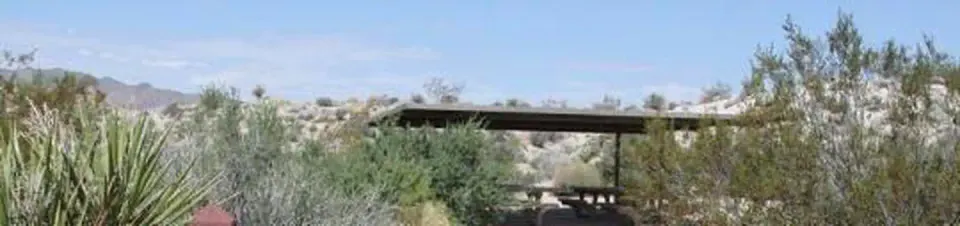 Joshua Tree National Park recreation area