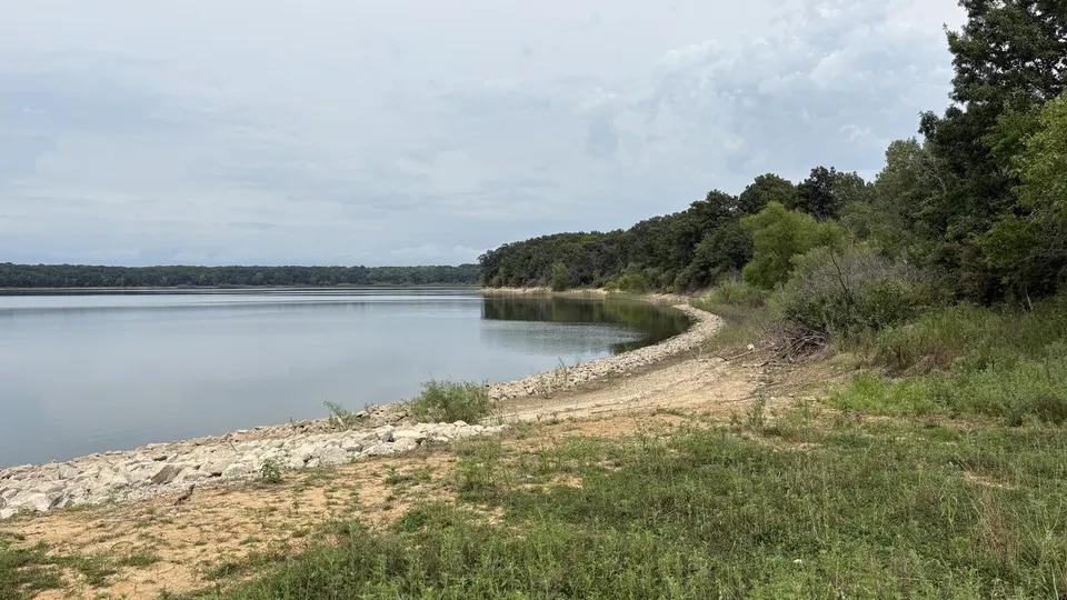 Shoreline