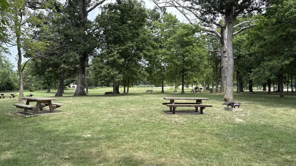Wilborn Creek Primitive Campsites
