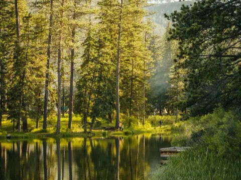 Milddle of Dalton Lake