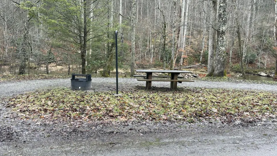 Monongahela National Forest recreation area