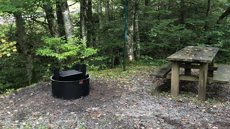 Williams River Campsite 30