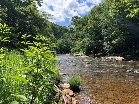 Williams River