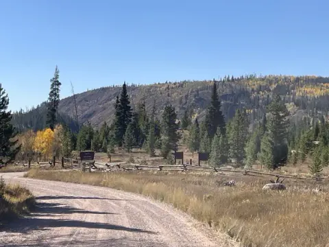Hinman CG fence, rocks and trees