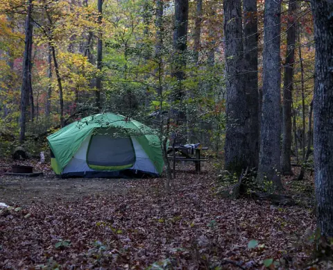 A green tent nestled under an autumn forest