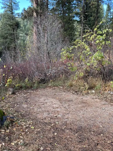 Boise National Forest recreation area