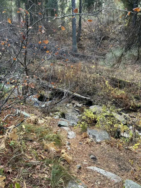 Boise National Forest recreation area