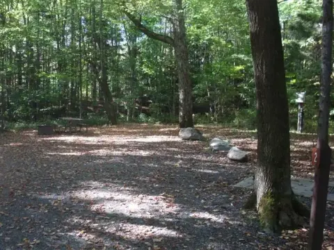campsite with picnic table, fire ring and gravel surfacing in wooded area