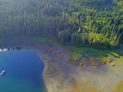 APPLETON COVE CABIN4