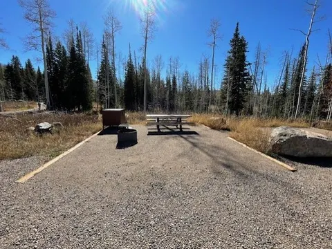 Medicine Bow-Routt NFs & Thunder Basin NG recreation area