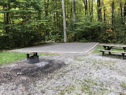 Monongahela National Forest recreation area