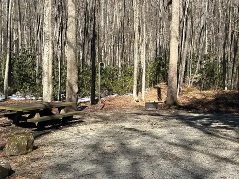 Teacreek Campground campsite