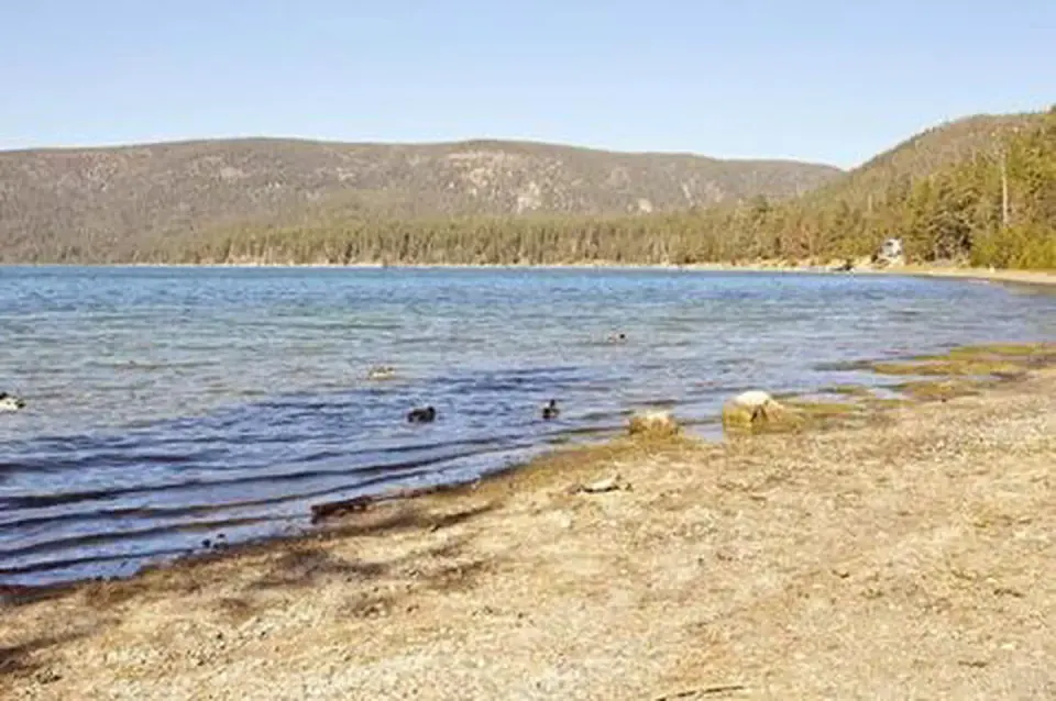 LITTLE CRATER CAMPGROUND
