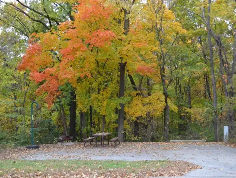Fall at Lithia Springs