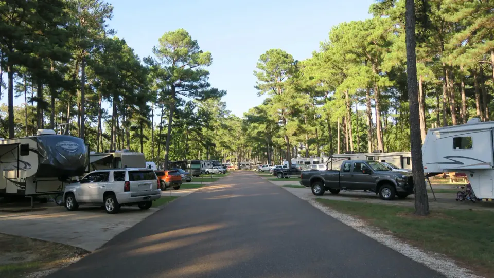 Persimmon Hill
