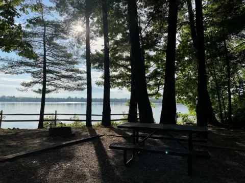 Lake Loop Campsite
