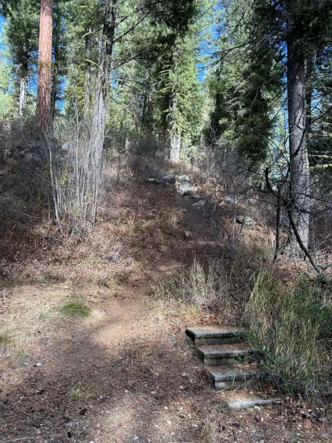 Stairs leading to small trail in campground