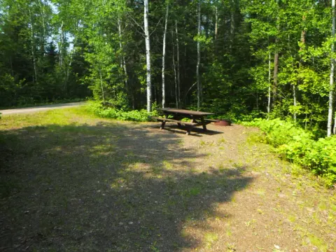 Superior National Forest recreation area