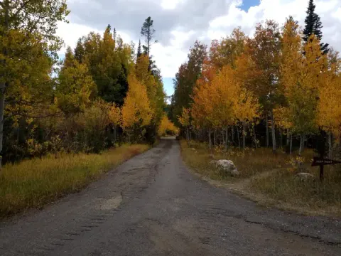 Medicine Bow-Routt NFs & Thunder Basin NG recreation area
