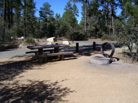 LYNX CAMPGROUND