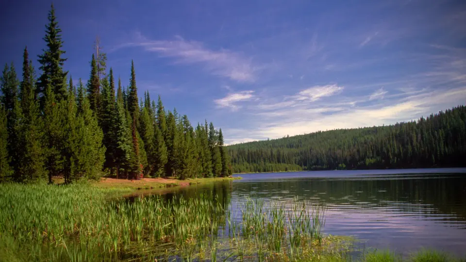 Umatilla National Forest recreation area