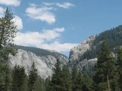 View up Lodgepole Valley