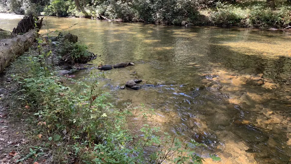 The view from the Banks of Cooper Creek