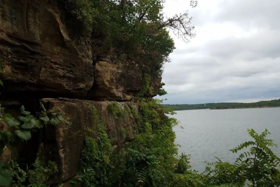 TC Cove
