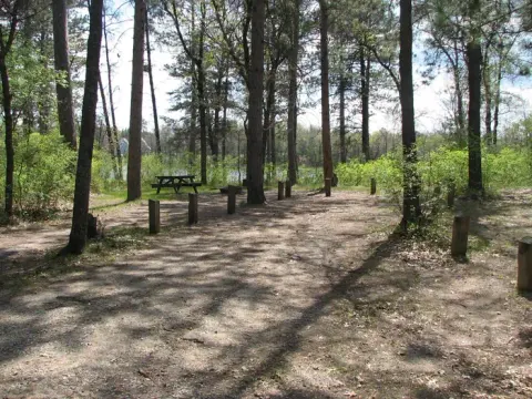 Huron-Manistee National Forests recreation area