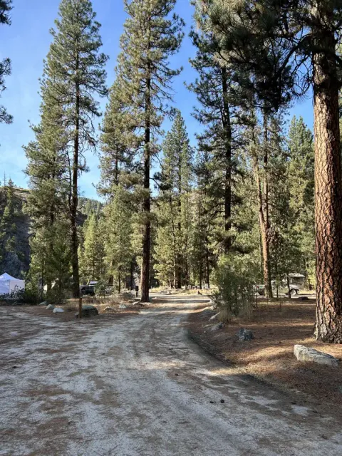 Long dirt road through campground