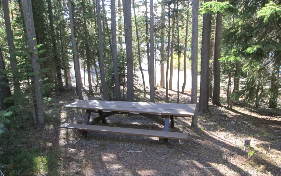 day use picnic table