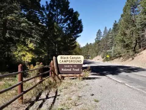 A campground sign with the words Black Canyon with a road and trees in the background.