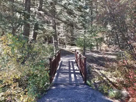 A bridge leads to the forest with fall foliage on nearby shrubs.