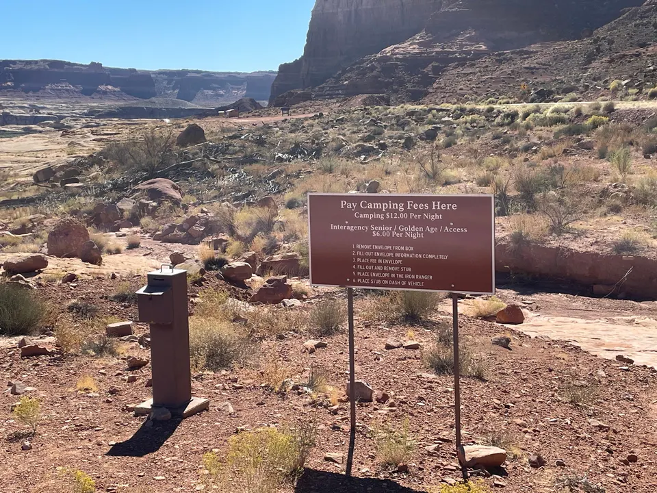 Dirty Devil primitive camping area