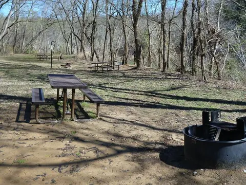 A brown picnic table and black metal fire ring can be seen in the foreground. Two more picnic tables can be seen in the background surrounded by trees.