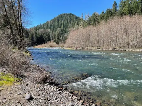 Willamette National Forest recreation area