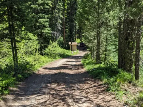 Payette National Forest recreation area