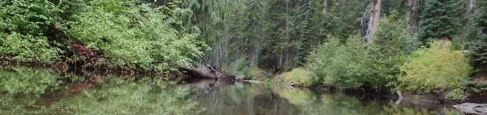 Okanogan-Wenatchee National Forest recreation area