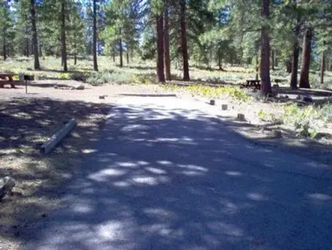 LOGGER CAMPGROUND