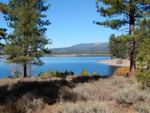 Logger Campground