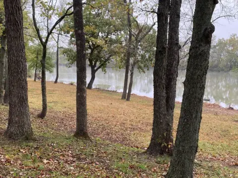 View of the river