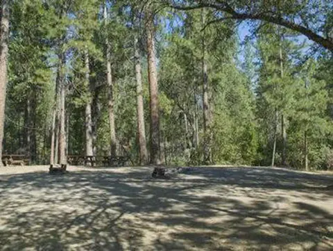 Picnic tables and fire rings at campsites in a forest grove