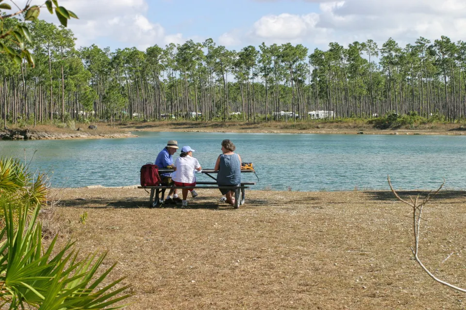 Picnic at Long Pine Key