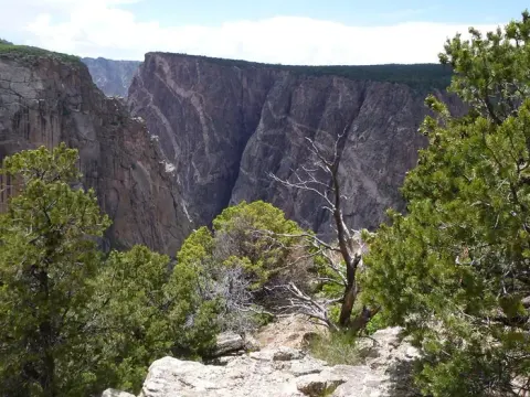 A view of the canyon from from Chasm View Nature Trail framed by juniper and pinyon