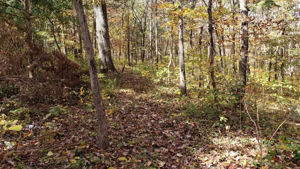 Pulltite Nature Trail