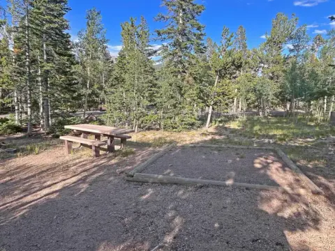 a site showing the tent pad and picnic table