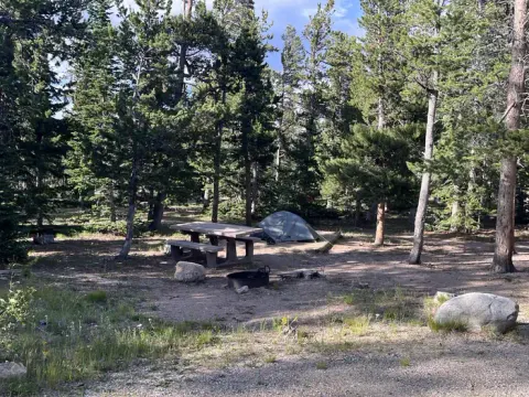 The average site at Longs Peak Campground - a small tent, picnic table, and the parallel parking area