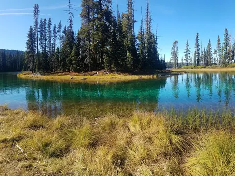 Willamette National Forest recreation area