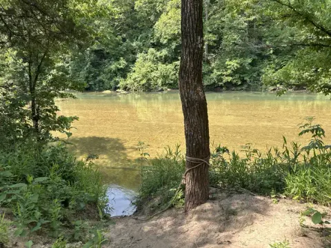 A group campsite next to the river with trees and shade