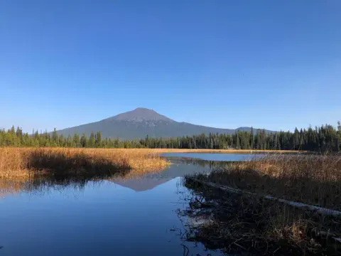 Mt. Bachelor from Hosmer Lake